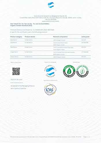 300450_OCS_CERTIFICATE_20210324041233_Sayfa_2